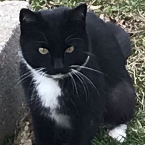 Meet your Posher, Savannah